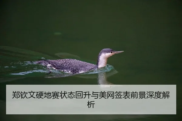 郑钦文硬地赛状态回升与美网签表前景深度解析